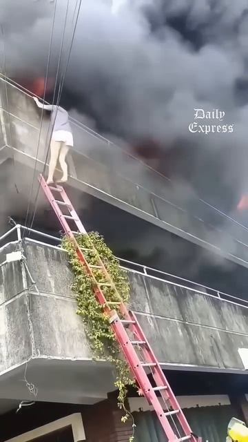 Philippines Woman Risks Her Life To Heroically Rescue Two Pet Dogs From Massive Building Fire 🔥