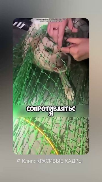 Люди так не поступают,только звери!