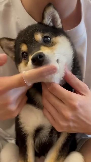 ASMR мосаж
