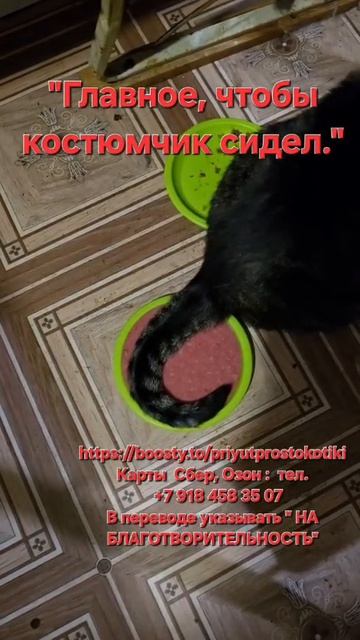 «Главное, чтобы костюмчик сидел.»