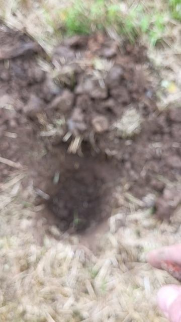Ножи вездесущие #shorts #находки #домонгол #metaldetecting #ножи