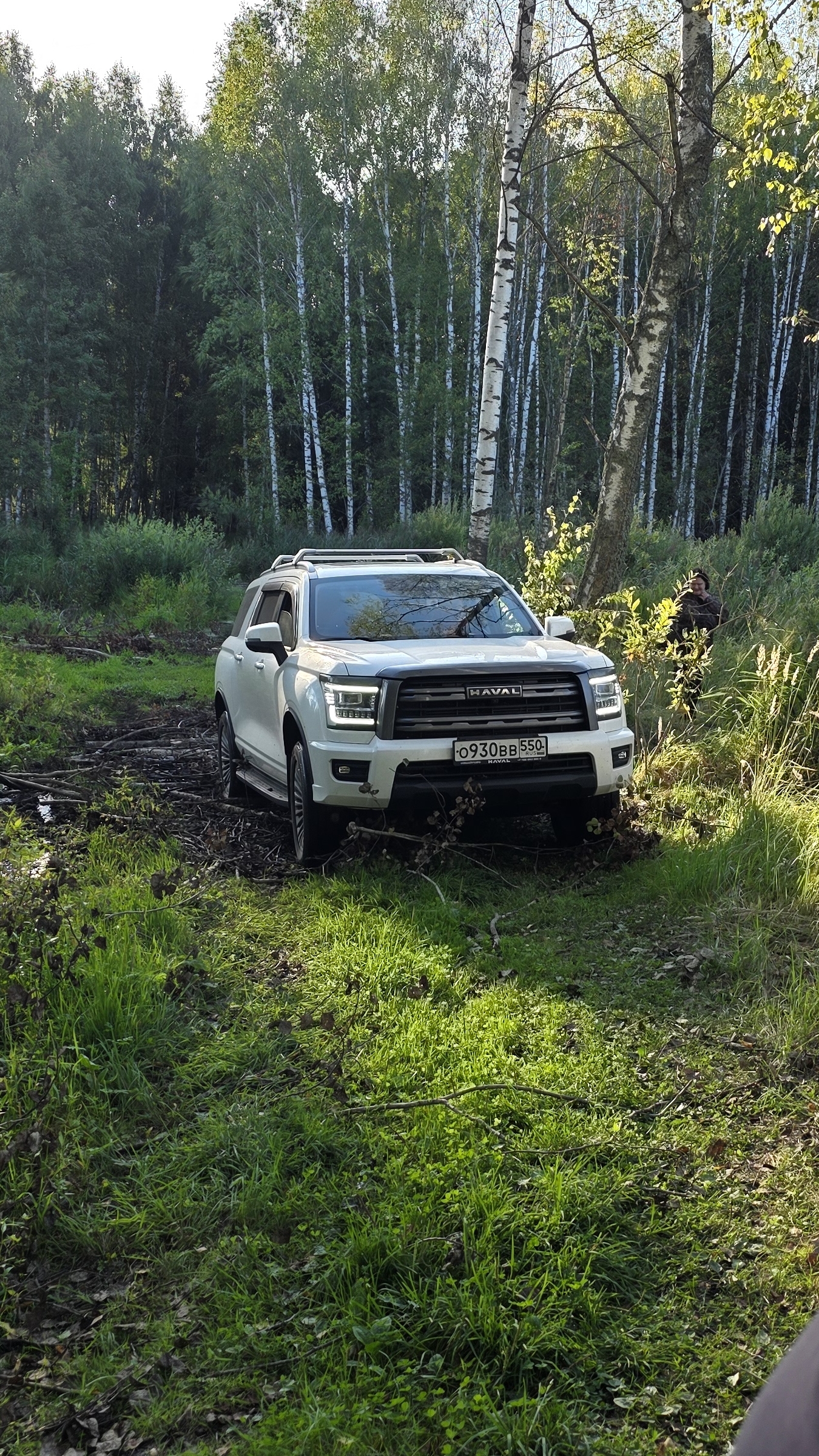 Haval H5 на бездорожье в лесу