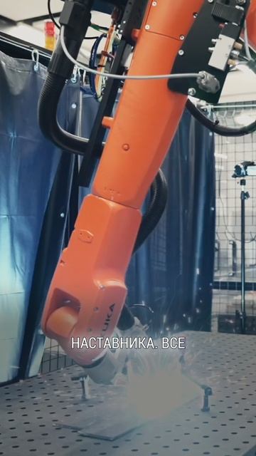 Здесь профессии, которые не устареют