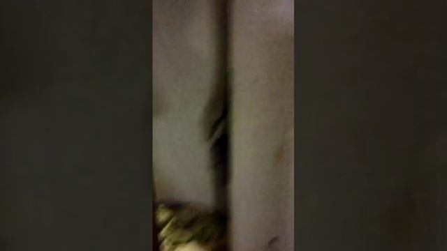 18-08-2026