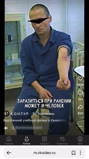 К.О.Н.Т.У.Р. каналотварь описание существа