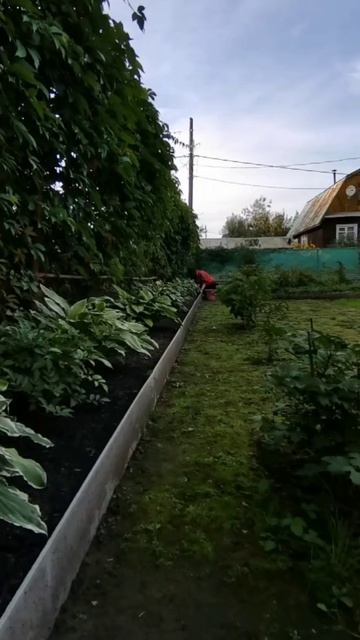 На даче некогда скучать 😅🙈