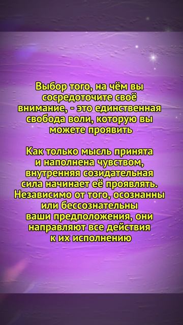 Как человек выбирает свое будущее
