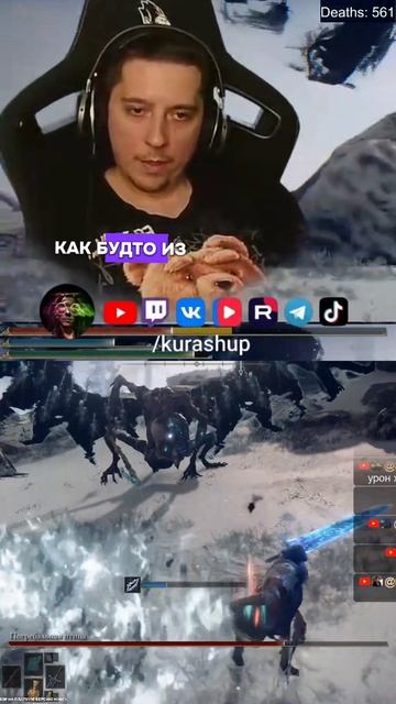 Погребальная птица Vs Куращуп!