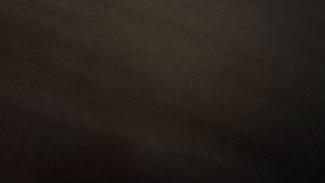1000000250.mp4