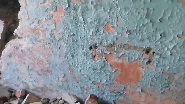 Нашли и забрались в заброшенный свинарник