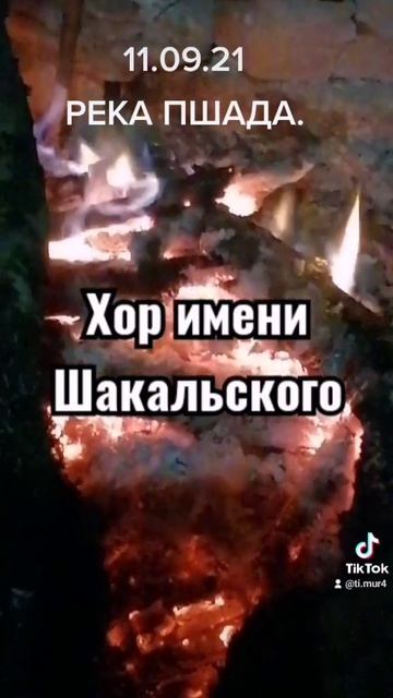 флора и фауна
