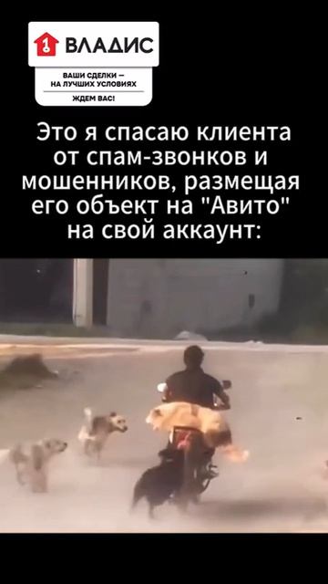 Выставляя объект на продажу важно отвечать на каждый входящий звонок. При этом около 80  таких обр