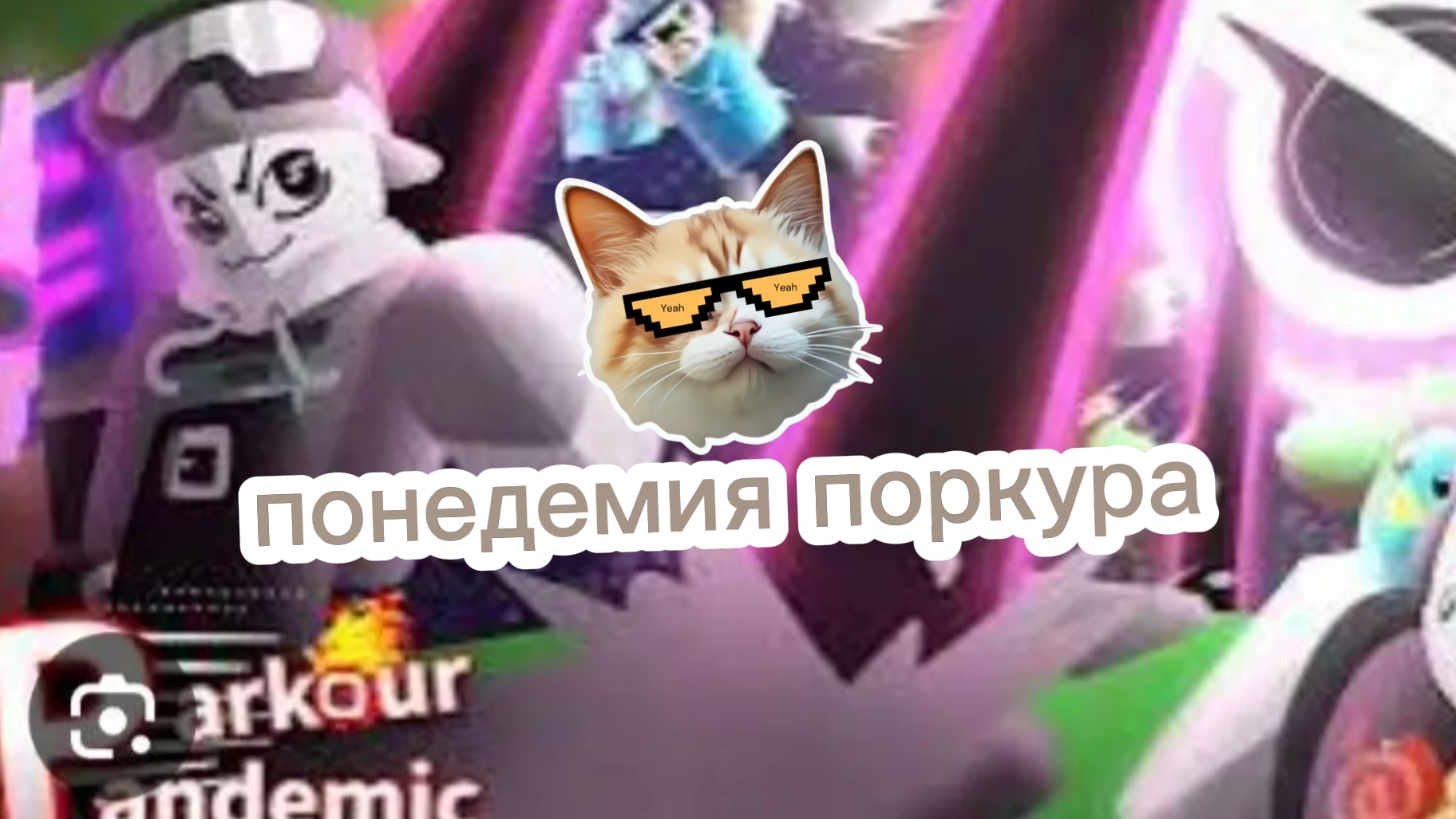 понедемия поркура