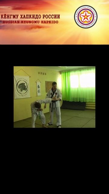 Master Igor Suryenkov. Kyungmu Hapkido Demonstration. (Russia. Yasny. February 2010.) Part 30