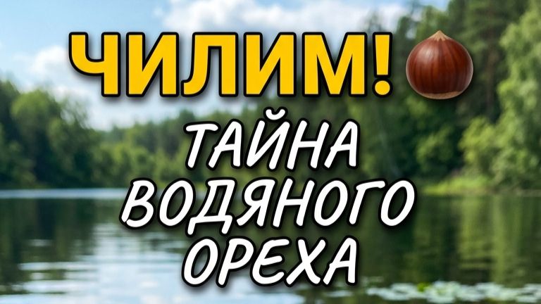 Этот орех растёт под водой!