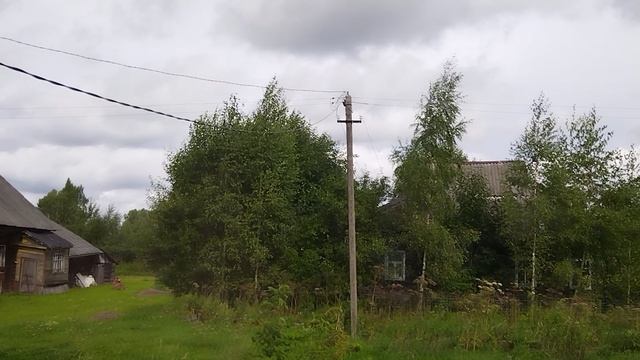 Аист за окном