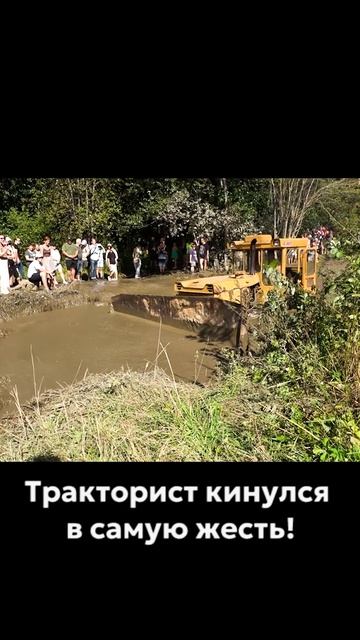 Трактор рьяно штурмует бездорожье #трактор #тракторист #бездорожье