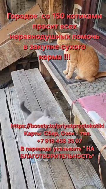 Городок...