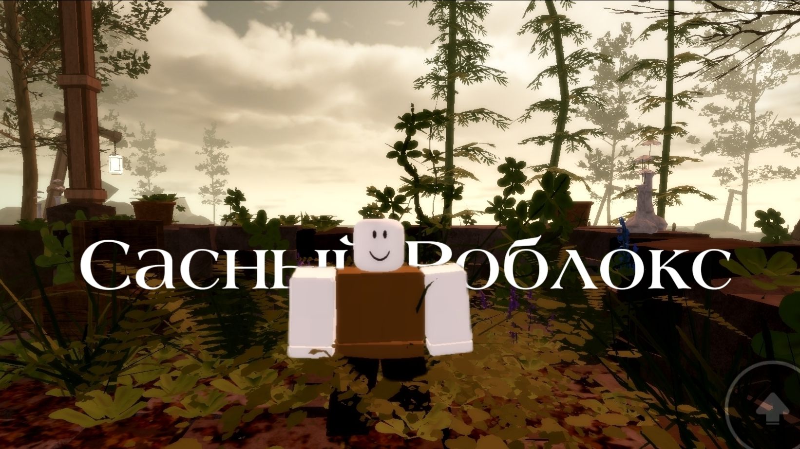 Сасный Роблокс