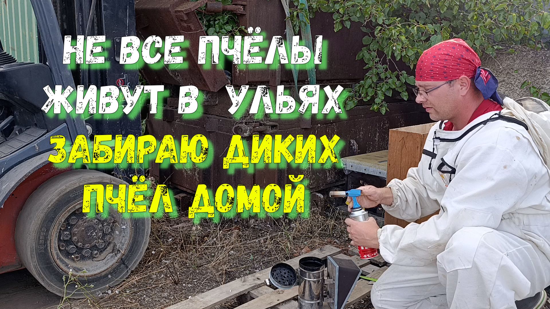 Пчелы под грудой металла, забираю домой.
