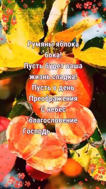 С Яблочным Спасом! С Преображением Господним!