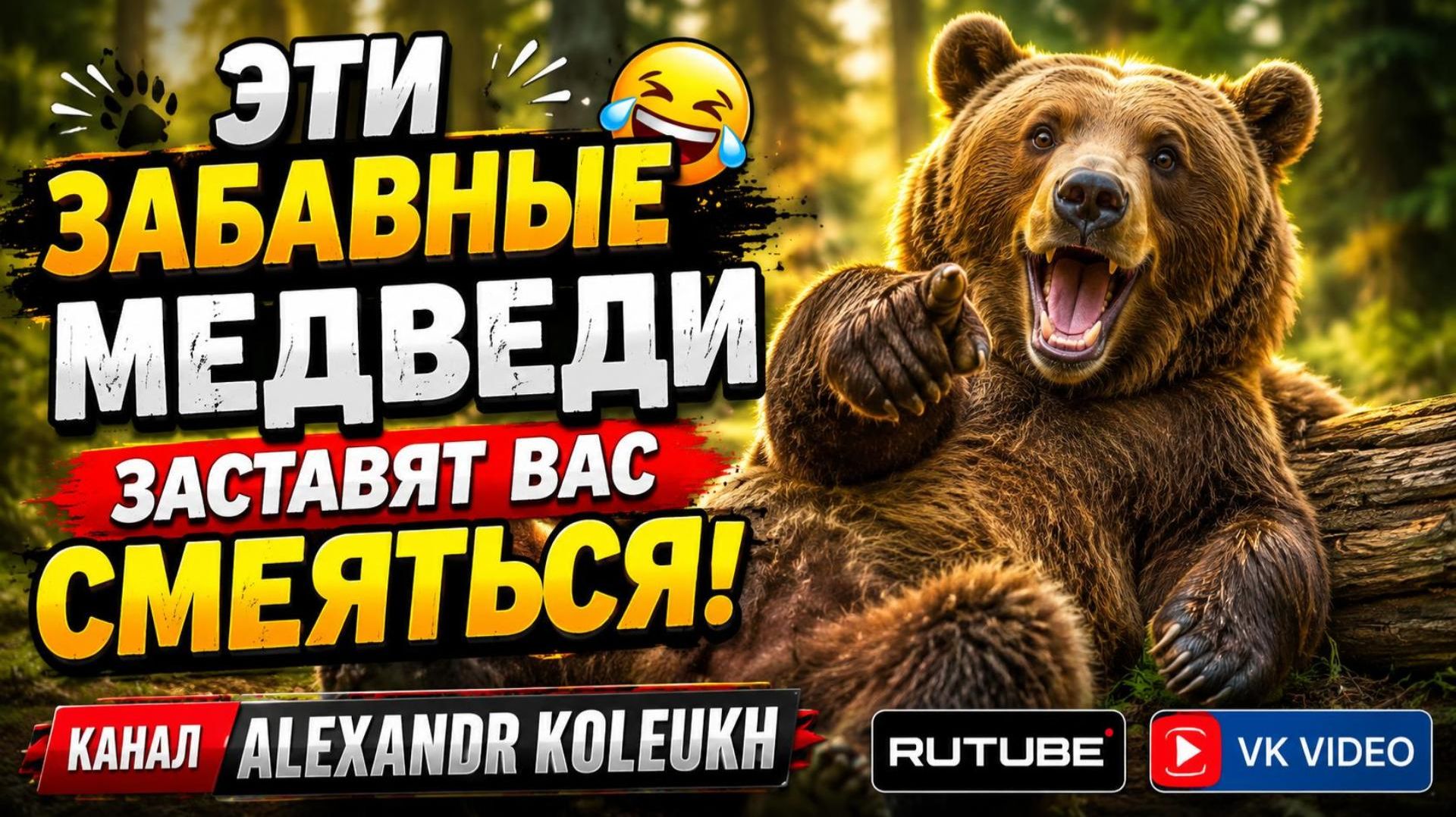ЭТИ ЗАБАВНЫЕ МЕДВЕДИ ЗАСТАВЯТ ВАС СМЕЯТЬСЯ! ОКЕАН ЮМОРА