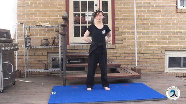 Hapkido Basic Blocks _ Falls - Full Lesson