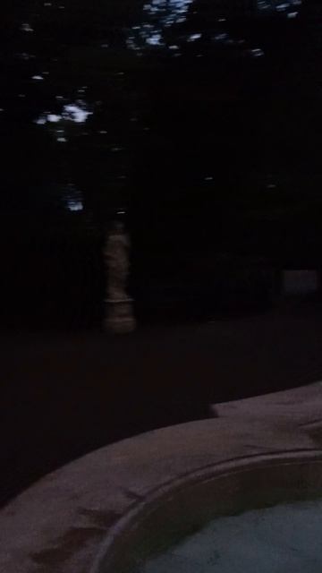 Выходной в Летнем саду Санкт-Петербурга. Август 2026. Эпизод седьмой.