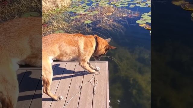 С ним бы на рыбалку!