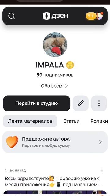 мой ДЗЕН канал