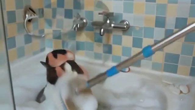 ИИ 2 странность