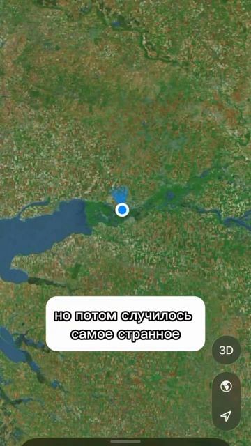 Как кусок курицы помог заказать авто из-за границы 