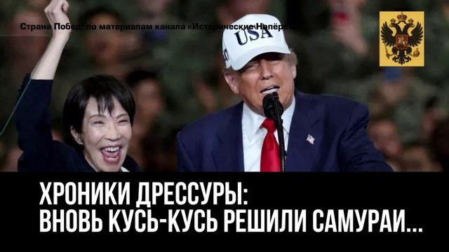 Хроники дрессуры_вновь кусь-кусь решили самураи...