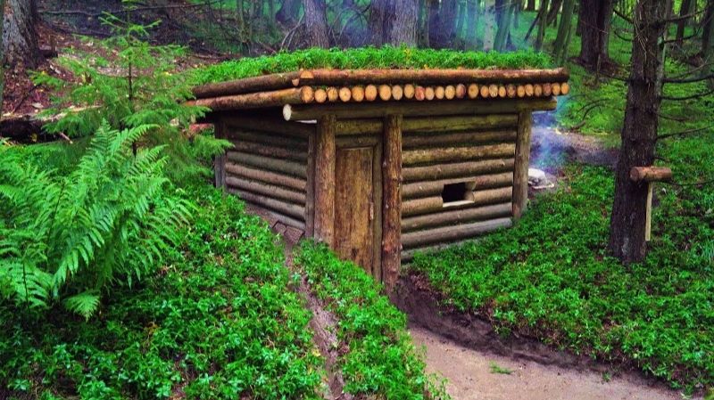 Строю убежище для выживания в дикой природе от начала до конца. Ужин вечером. Бушкрафт