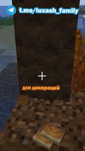 Интересные факты про гриб майнкрафт!!!