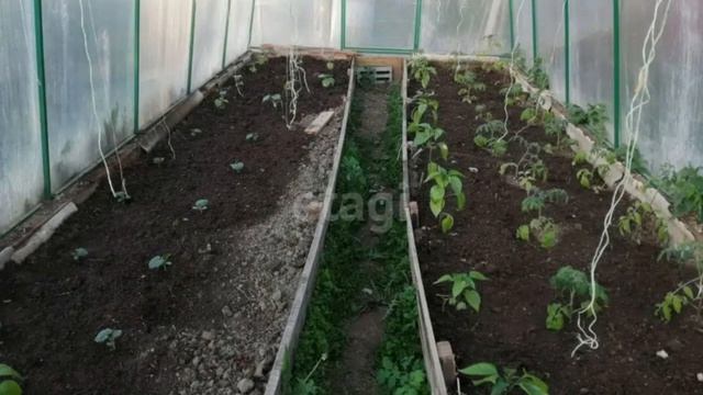 Как все начиналось 2025 год