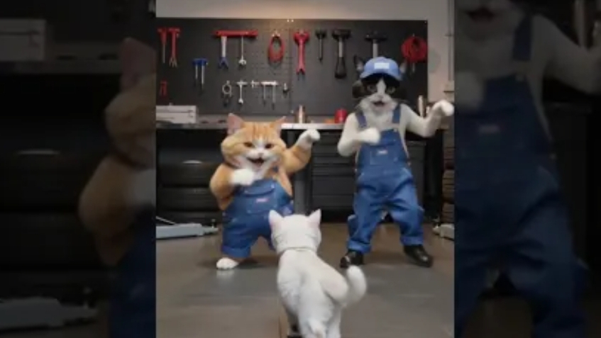Кошачий Бас качает