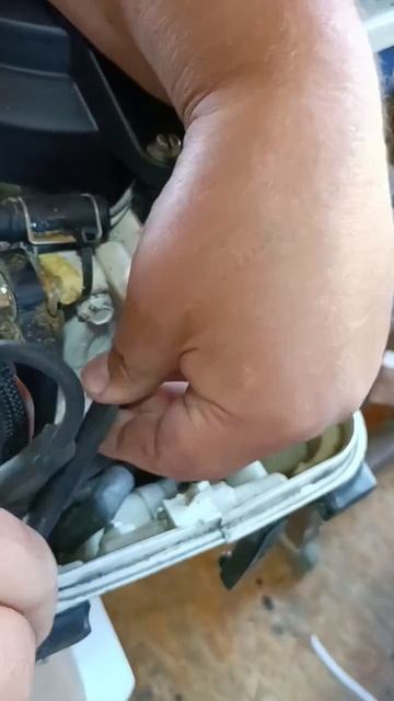 Johnson15л.с. компрессия в нррме