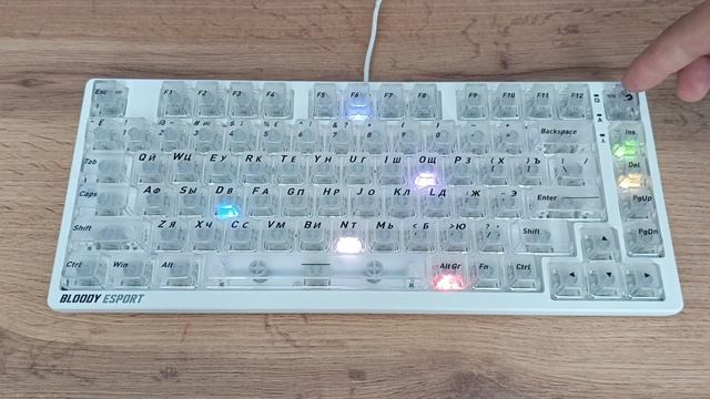 A4TECH Bloody MS76