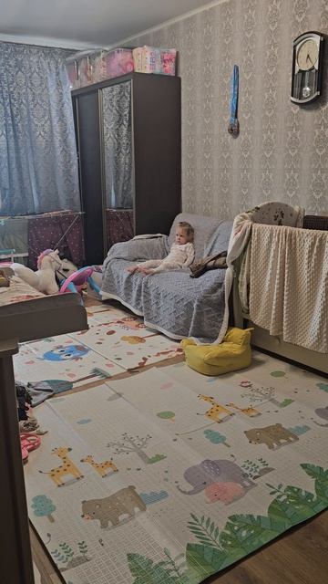 Смотрим трёх котов