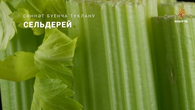 Сельдерей | Сөннәт буенча туклану