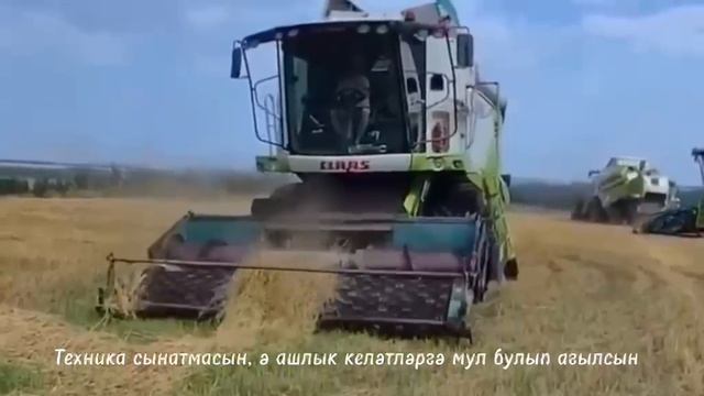 Техника сынатмасын