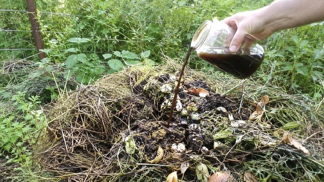 Чтобы в компостной куче быстро перегнивали даже ветки и кости проливаю его этим в августе сентябре!