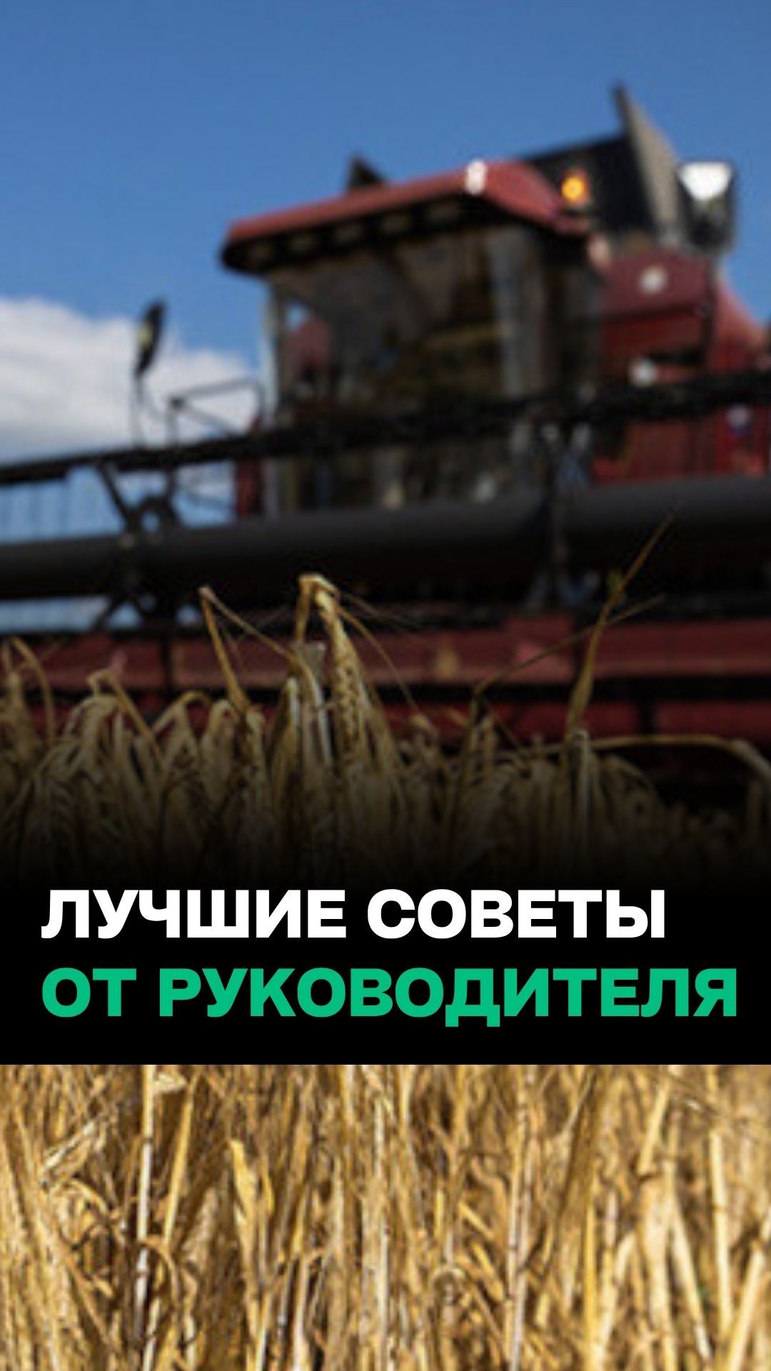 Как руководителю собрать крутую команду?  Сплотить коллектив  основная задача