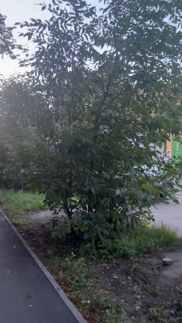 Электросталь, Трудовая улица: ловим последние лучи заката.