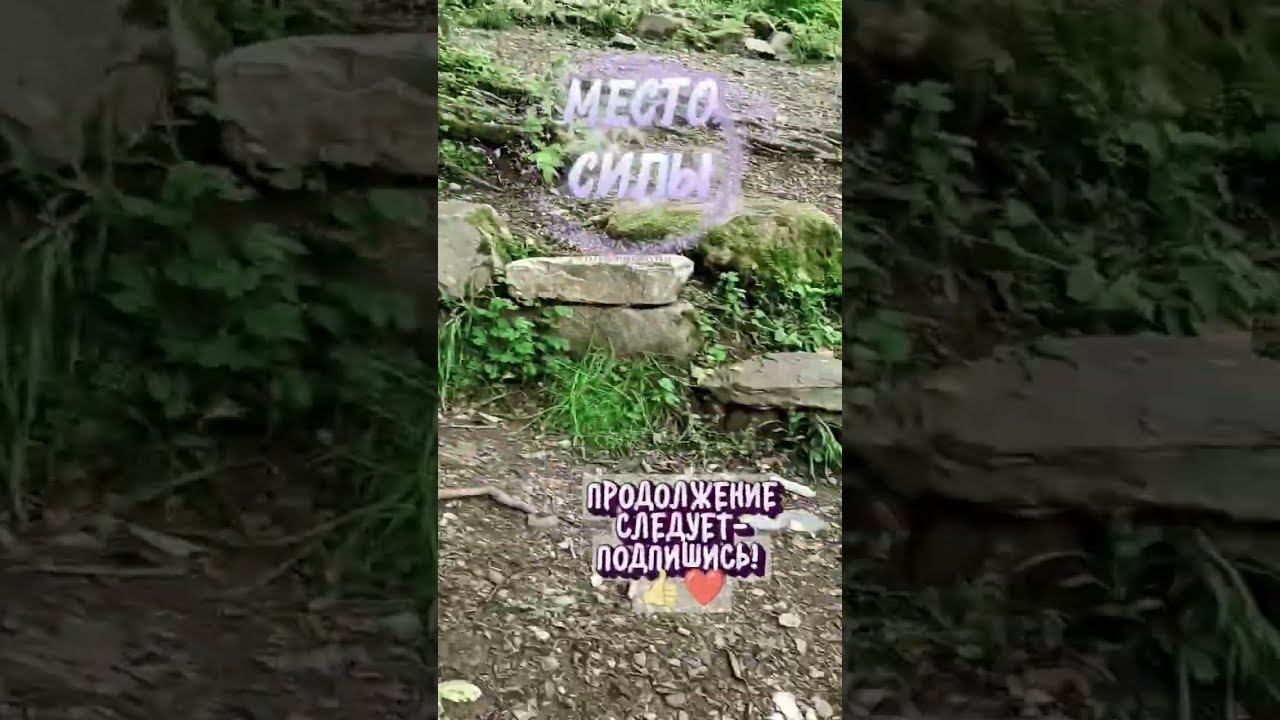 МИНИДРАКОН ЯЩЕРИЦА ДЕРЮГИНААРТВИНСКАЯ МЕСТО СИЛЫ КРАСНОПОЛЯНСКИЕ ДОЛЬМЕНЫ shorts сочи