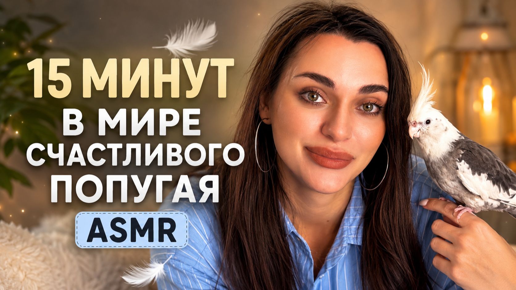 Проведи 15 минут в мире счастливого попугая  ASMR для отдыха