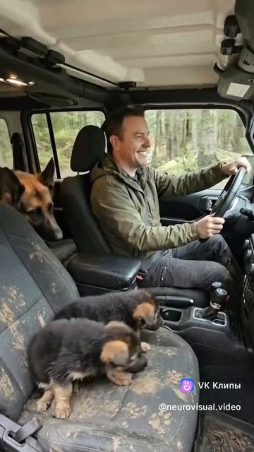Не проезжайте,помогите!