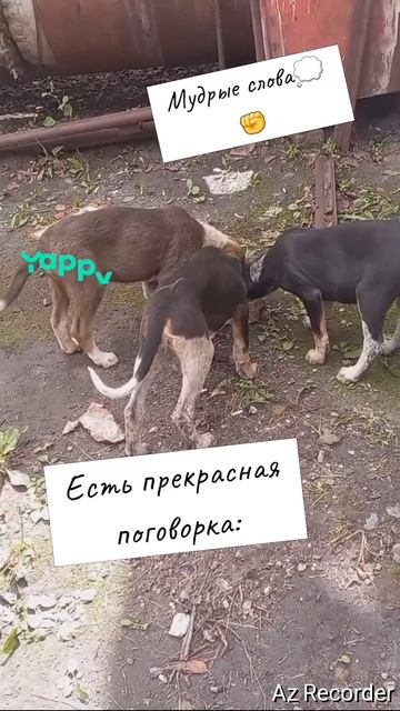 #funny#lol#humor#memes#lmao#joke