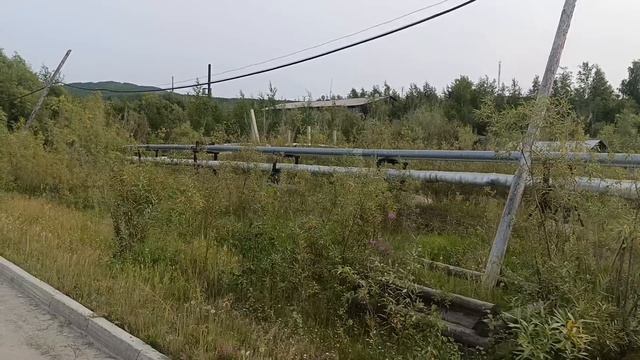 ДОРОГИ САНГАР ИЮЛЬ 2026